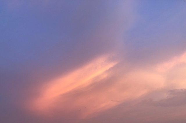 8228CD18-1B86-47AD-A480-CA4782F4FC9C.jpeg